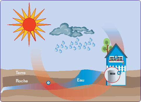 Les alories sont puisées dans le sol